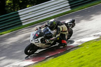 cadwell-no-limits-trackday;cadwell-park;cadwell-park-photographs;cadwell-trackday-photographs;enduro-digital-images;event-digital-images;eventdigitalimages;no-limits-trackdays;peter-wileman-photography;racing-digital-images;trackday-digital-images;trackday-photos